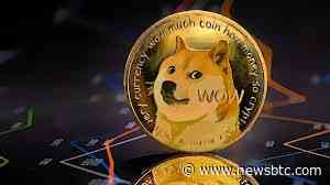 Dogecoin Growth Hits Roadblock As Holder Activity Enters Dreaded Period Of Stagnancy