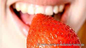 Projekt „Essbares Dorf“ in Ottenbronn: Ein Ort  zum Lernen  und Genießen