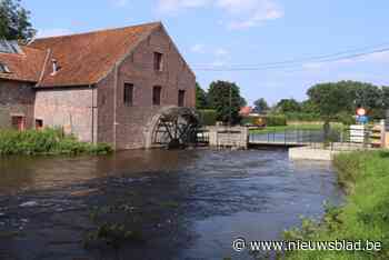 Stad houdt jobbeurs voor jobstudenten: “Grote vraag voor ruimen grachten en kinderopvang”