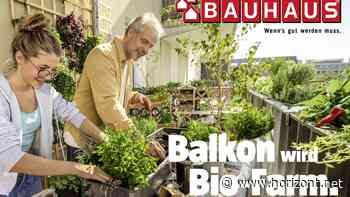 Frühjahrskampagne: Bauhaus und Leo Burnett feiern die Schaffenskraft