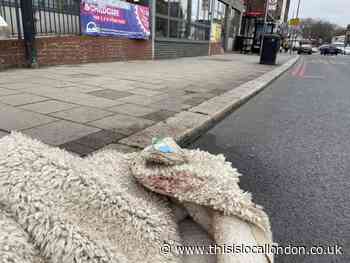 Home Road Battersea: Witnesses ‘scared’ during ‘XL Bully attack’