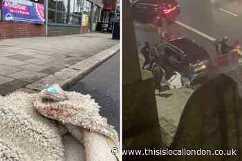 Home Road Battersea: Photos from scene of ‘XL Bully attack’