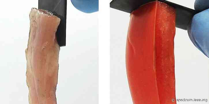 Electroadhesion Heralds New Implant And Robot Tech