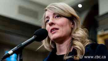 Government's endorsement of Palestinian statehood motion wins praise, draws outrage