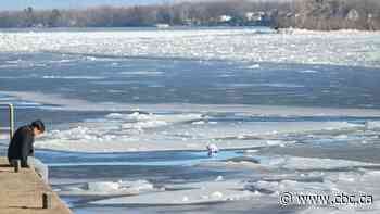 Spring is here — after Canada's warmest winter on record