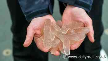 Millions of transparent blob-like creatures are washing ashore on the West Coast due to warming oceans... do YOU know what they are?