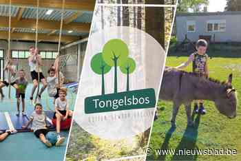 Zestig jaar buitengewoon onderwijs Tongelsbos: “We hebben te kampen met wachtlijsten, dat is nieuw”