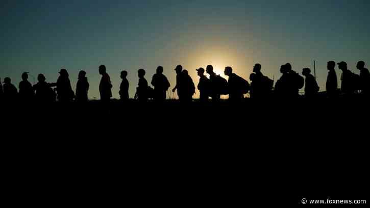 Tyson hiring migrants while laying off US workers is the 'decimation of the American Dream': Top Republican