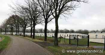Buurt wil dat Peter Gillis snel bomen plant rondom zijn ‘barakkenkamp’