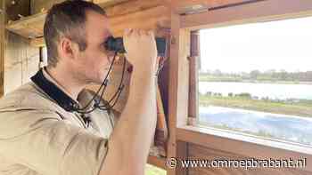 Boswachters benadrukken rust in de natuur voor broedende dieren