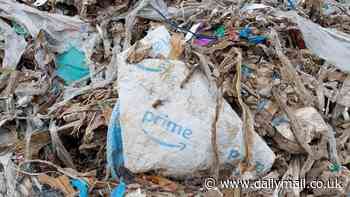 Over 700million pounds of Amazon's 'recyclable' plastic packaging is dumped into environment each year - where chemicals infest livestock, human organs and even clouds
