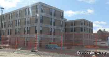 ‘I feel neglected’: UNBSJ students say university not doing enough about bedbug problem