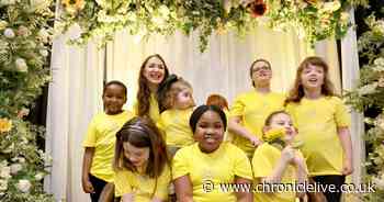 The Chronicle Sunshine Fund's Sunflower Ball celebrates 95 years and looks to the future