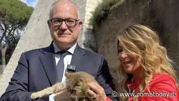 Intervista | Patrizia Prestipino è la garante degli animali: “Basta botticelle e circhi con elefanti o leoni”