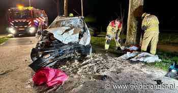 Automobilist ernstig gewond door botsing tegen boom in Doornenburg, traumahelikopter landt