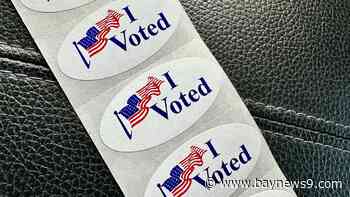 Results for Tampa Bay-area municipal and GOP primary elections