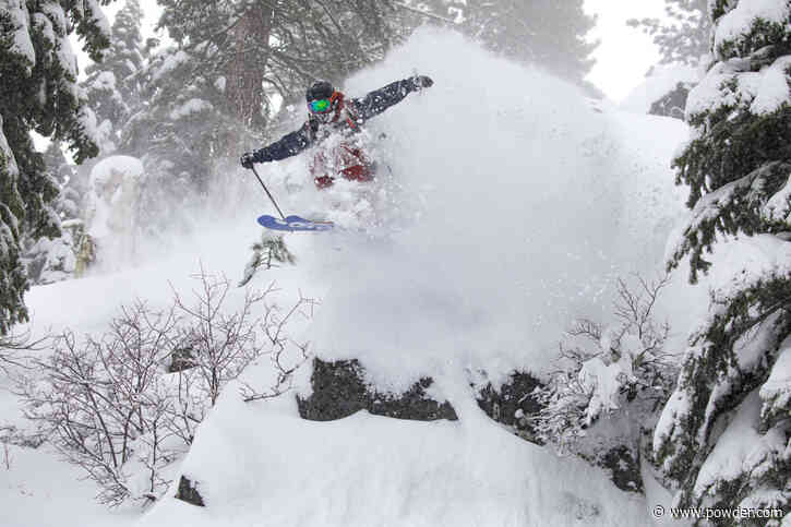 Pillow Hits, Tree Taps, and Powder