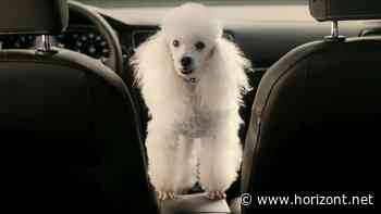 1974-2024: Die besten Werbekampagnen für den VW Golf aus 50 Jahren