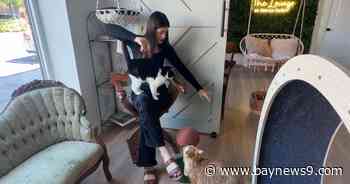 Former Plant City post office to be redeveloped into residential living