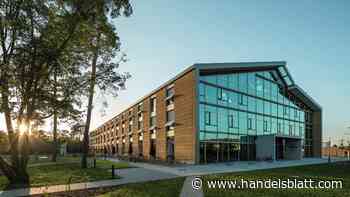 Alternative Baustoffe: Klimafreundlich mit Lehm bauen