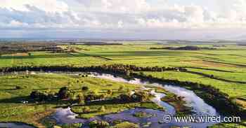 Flooding Wetlands Could Be the Next Big Carbon Capture Hack