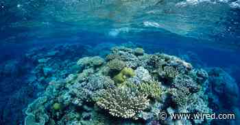 Scientists Are Tinkering With Clouds to Save the Great Barrier Reef