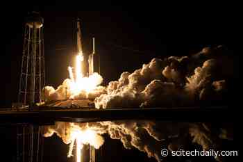 Innovative Science Experiments Aboard NASA’s SpaceX 30th Resupply Mission to the ISS