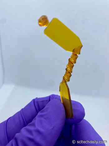 Revolutionizing Plastics: How Sugar-Based Polyamides Could Save Our Planet