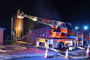 Kippenkwekerij in de as door brand, honderden dieren overleven inferno niet