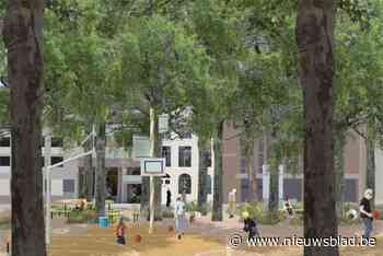 Heraanleg Nieuwe Graanmarkt neemt nieuwe horde: Studiebureau aangesteld die vrouwen zich welkom moet laten voelen op plein