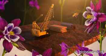 An Ontario city smashed its new housing targets by 250%. But are prices going down?