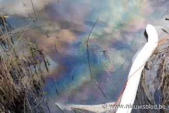 Opnieuw olielek in Poekebeek