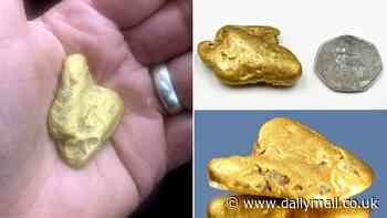 Talk about striking gold! Metal detectorist unearths the largest gold nugget EVER found in England - and it's set to fetch at least £30,000 at auction