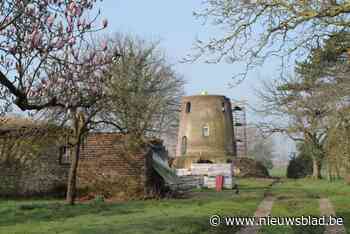 Renovatieplannen voor de Kleitse Ceulenaersmolen