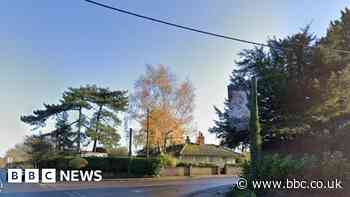 Zoo and quarry company 'threaten key Roman site'