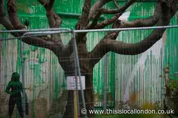 Banksy tree mural in Finsbury Park defaced with white paint