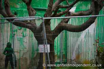Banksy tree mural in Finsbury Park defaced with white paint