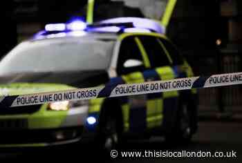 Ewell teens charged after man threatened with machete