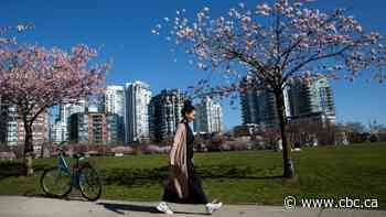 Beware the buds of March: Why early tulips and cherry blossoms are a growing concern