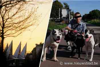 ”Hun slachtoffers waren gebruiksobjecten om lusten op bot te vieren”: duo riskeert 5 jaar cel voor mensenhandel en verkrachting