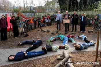 Basisschool Zeppelin is 200ste Antwerpse school met vergroende speelplaats: “In de natuur spelen verhoogt de concentratie”