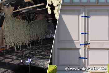 Cannabistelers in grote villa veroordeeld tot twee jaar cel