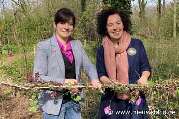 In het Vrijbroekpark kan je voortaan ook ‘bosbaden’