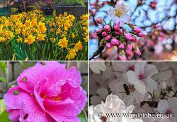 Photographers capture the first day of spring in Wirral