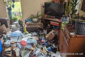County Durham man given three-year animal ban after wolfhounds found living in squalid flat