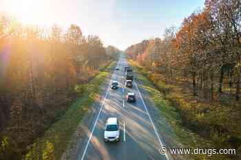 Roadside Trees, Bushes Are Cutting Air Pollution, Study Finds