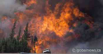 Book about Fort McMurray wildfire shortlisted for Shaughnessy Cohen Prize