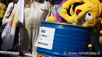 Apicoltori in piazza contro il miele low cost: “Noi costretti a fronteggiare un import sleale”