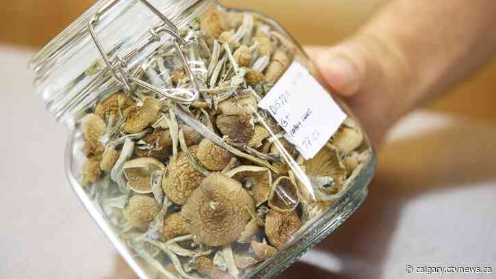 Effectiveness of psychedelics on alcohol use disorder the focus of U of C study