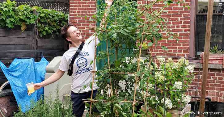 The Verge’s favorite gardening gadgets 